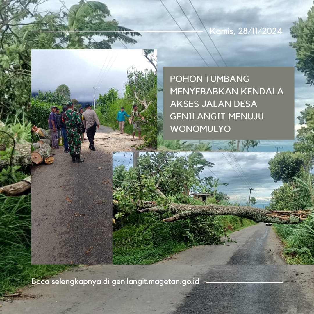 POHON TUMBANG MENYEBABKAN KENDALA AKSES DI JALAN DESA GENILANGIT MENUJU WONOMULYO